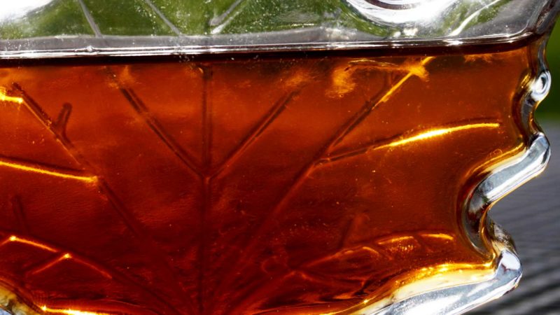 close up shot of mold beginning to form in maple syrup